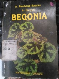 Image of Begonia