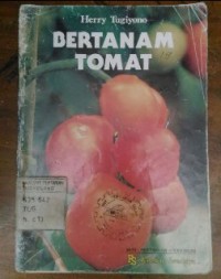 Image of Bertanam Tomat