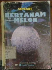 Image of Bertanam Melon
