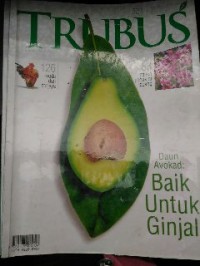 Image of TRUBUS:Daun Avokad Baik untuk Ginjal