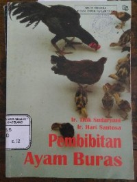 Image of Pembibitan Ayam Buras